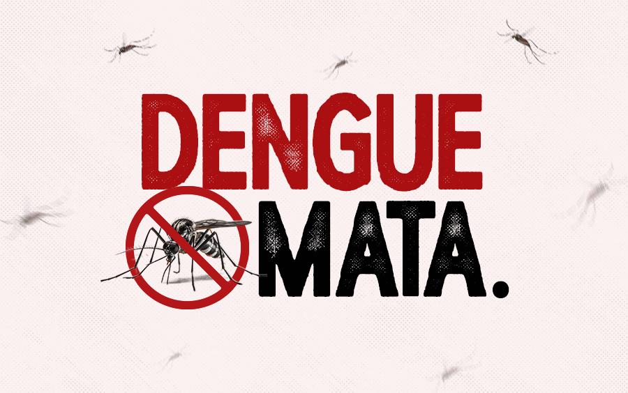 Dengue em SC ultrapassa 13 mil casos prováveis da doença e chega a oito óbitos