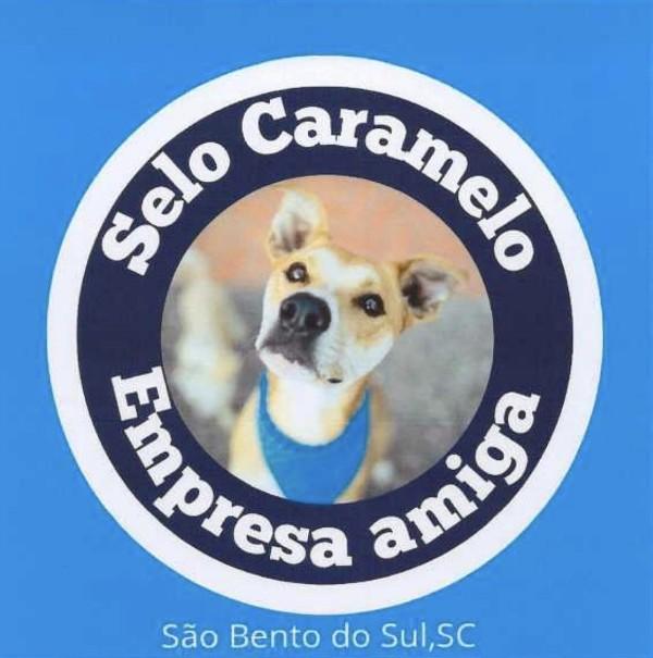 Projeto Selo Caramelo a favor da causa animal em São Bento do Sul