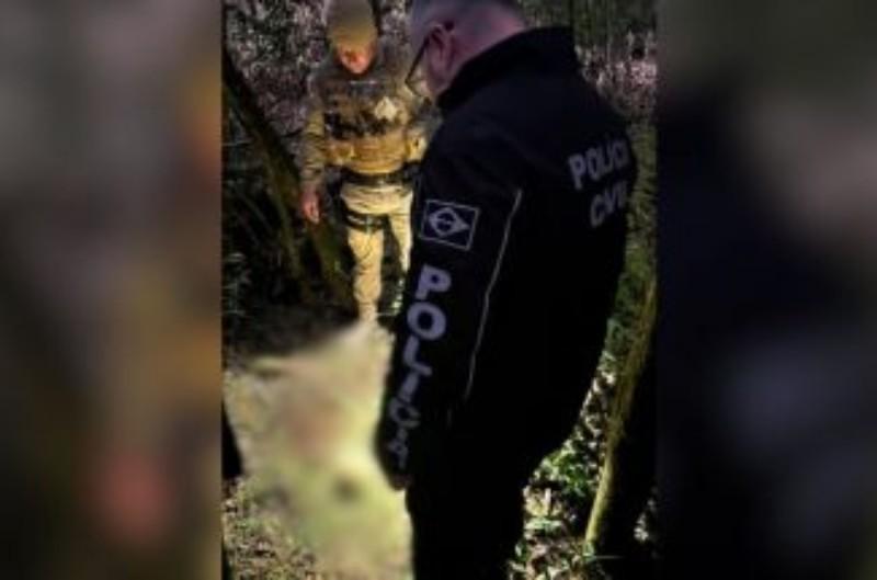 Ossada Humana é Encontrada às Margens da BR-116 em Mafra