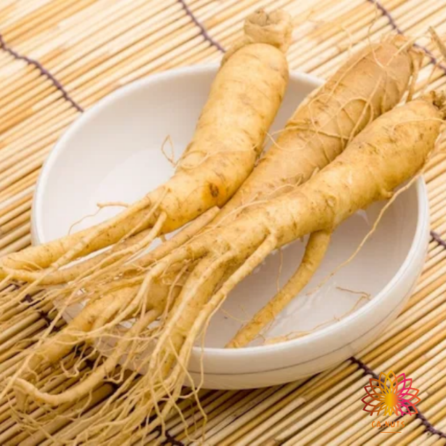 Ginseng: planta medicinal que ajuda no combate ao estresse e aumenta a disposição