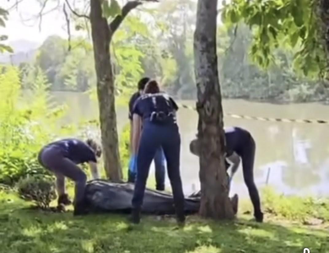 Corpo de jovem é encontrado boiando no Rio Itajaí-Mirim, em Itajaí