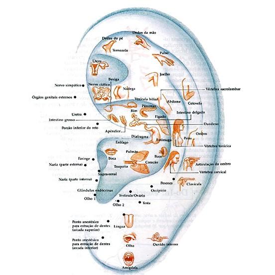 Auriculoterapia é oferecida gratuitamente em São Bento do Sul
